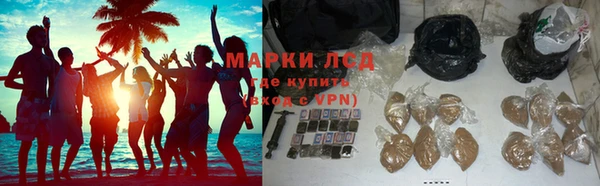 ешки Аркадак
