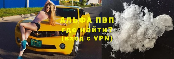 ешки Аркадак