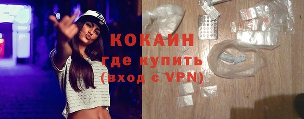 индика Армянск