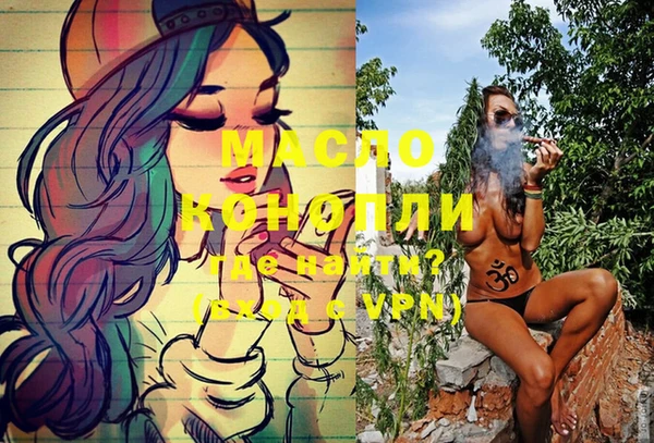 индика Армянск