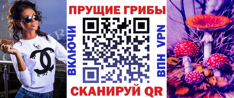 Псилоцибиновые грибы Cubensis что такое наркотик Аткарск
